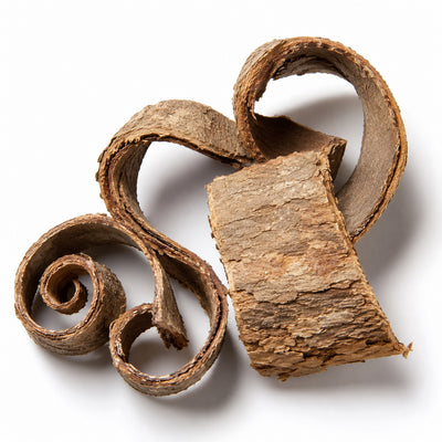 Magnolia Bark Extract